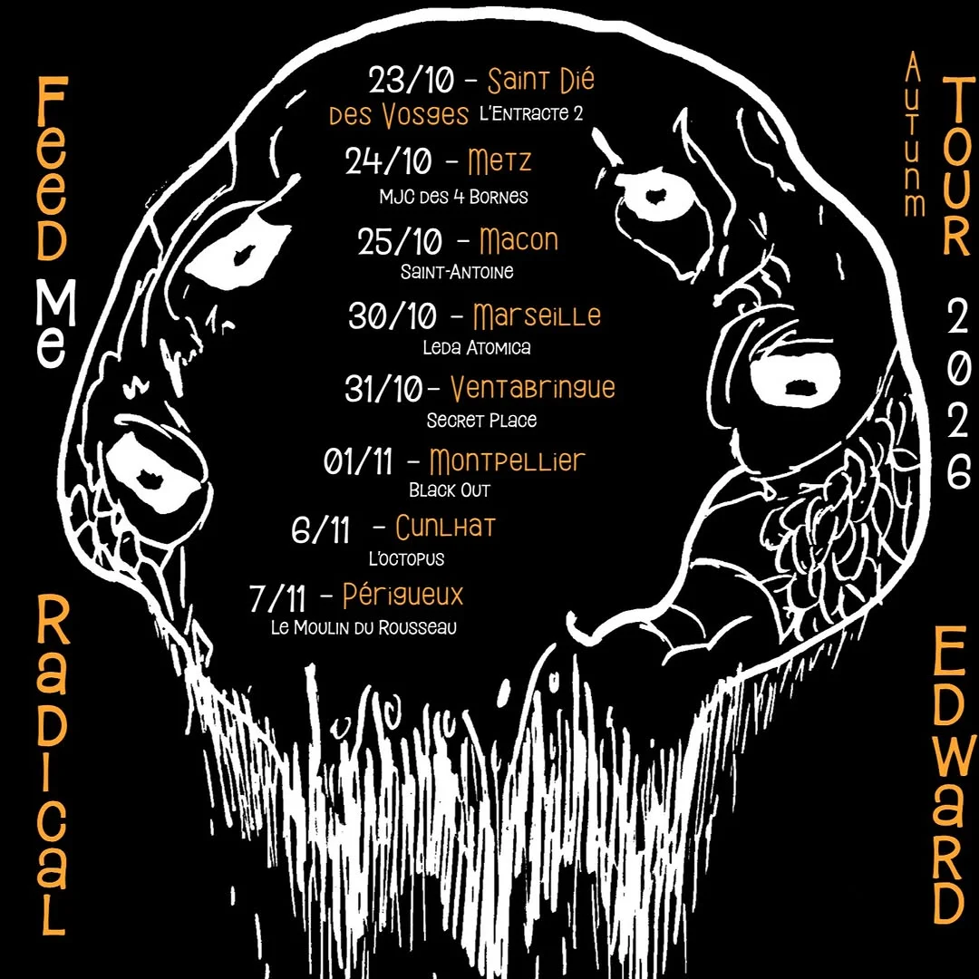 Montpellier - 01/11 - Fiesta