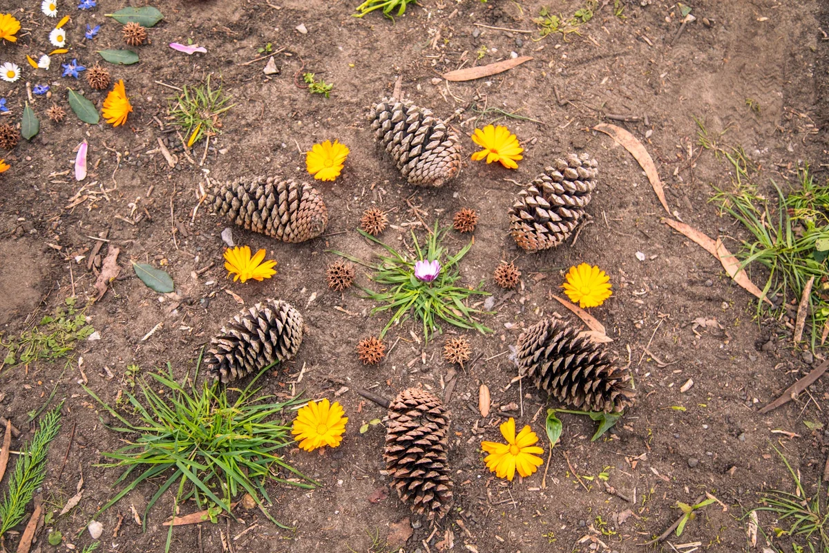 Taller creativo de land art