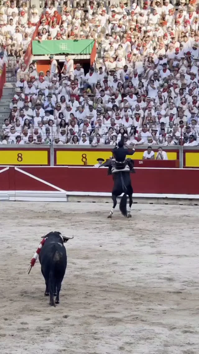 Horseback bullfighting with Andy Cartagena at Bayonne Arenas