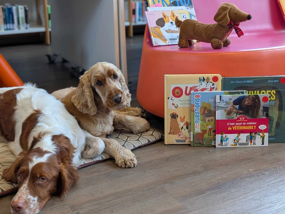 Leer con los perros