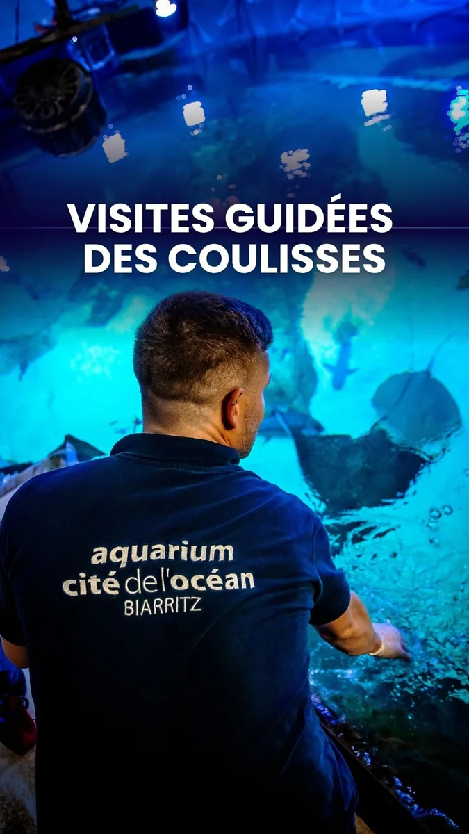 Visite guidée des coulisses de l'Aquarium de Biarritz - Cité de l'Océan