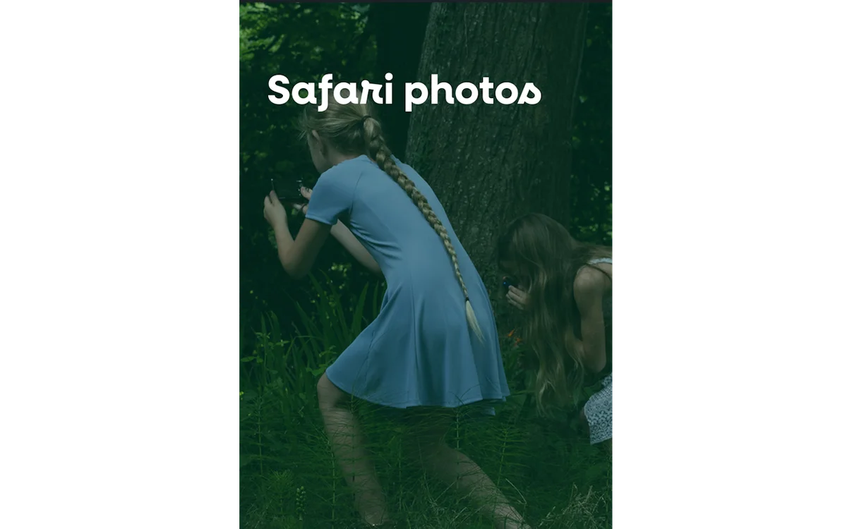Photo Safari