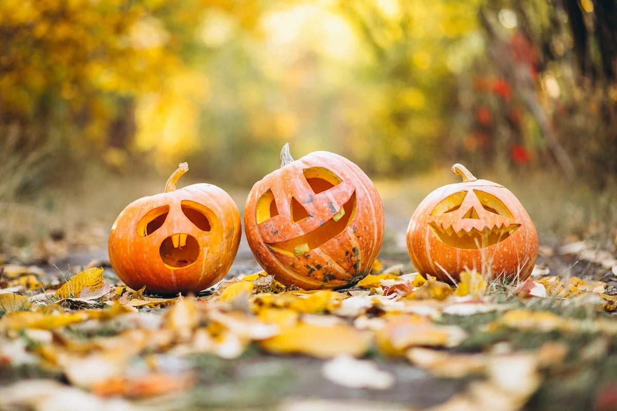 5th Kludoween