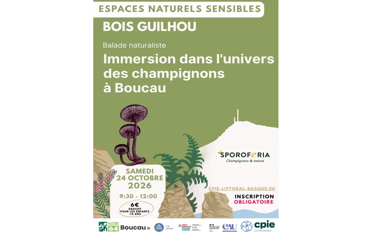 Paseo naturalista: inmersión en el universo de los hongos