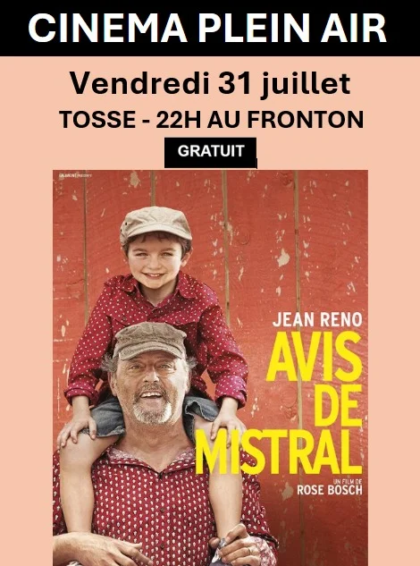 Cinéma plein air : Avis de Mistral