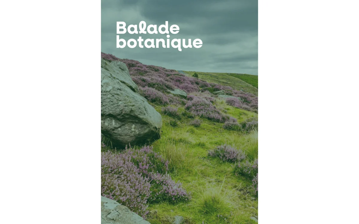 Botanical walk