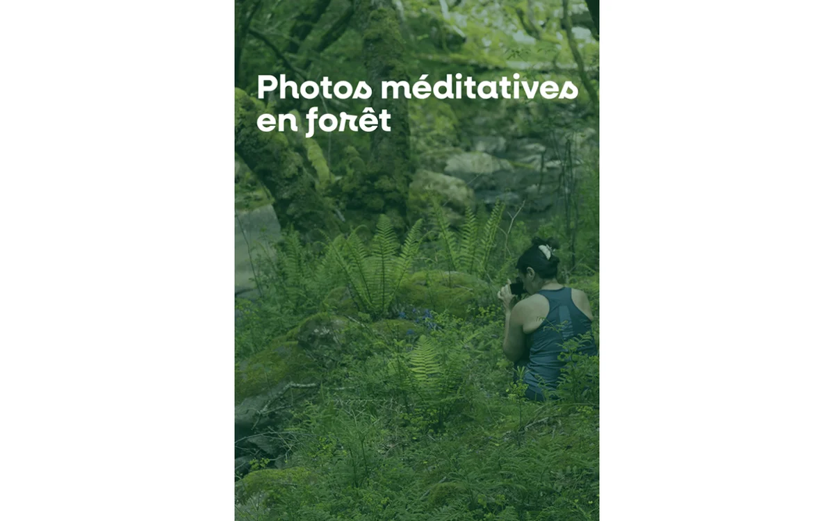 Meditative photos in the forest