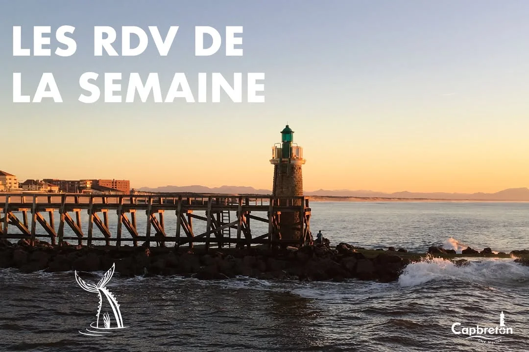 Bébés lecteurs à la médiathèque de Capbreton (0-3 ans)