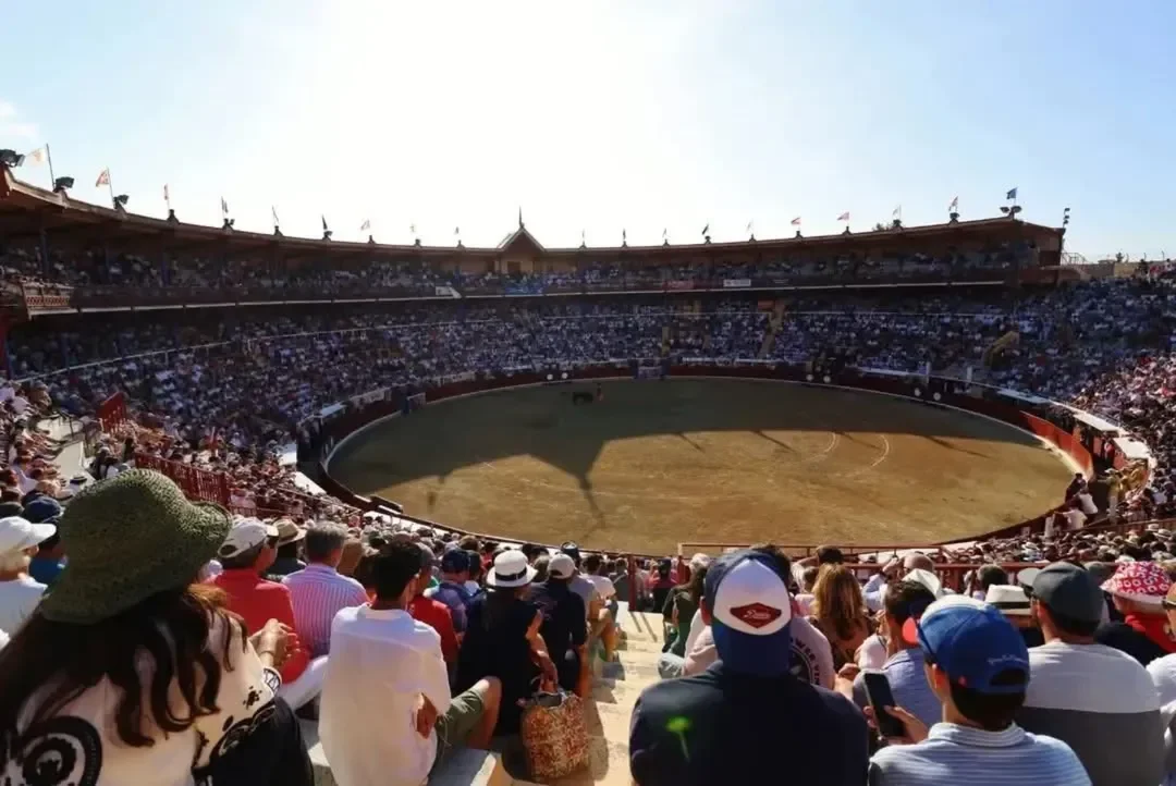 Corrida de las Promesas (Bayonne)