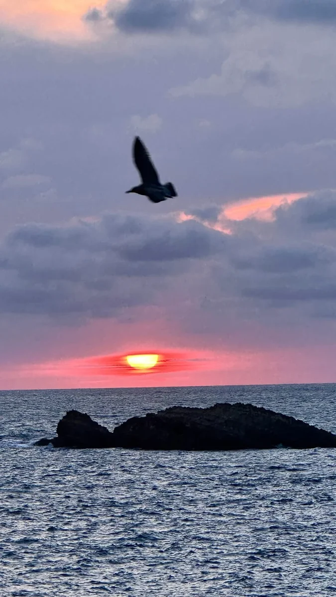 Éclipse solaire à 99,5% avec DJ set à L’Impératrice – Biarritz