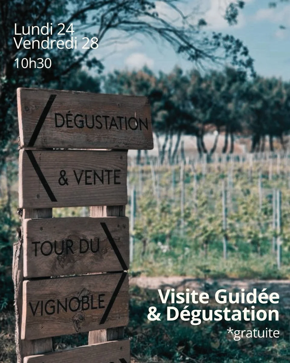 Visite & dégustation