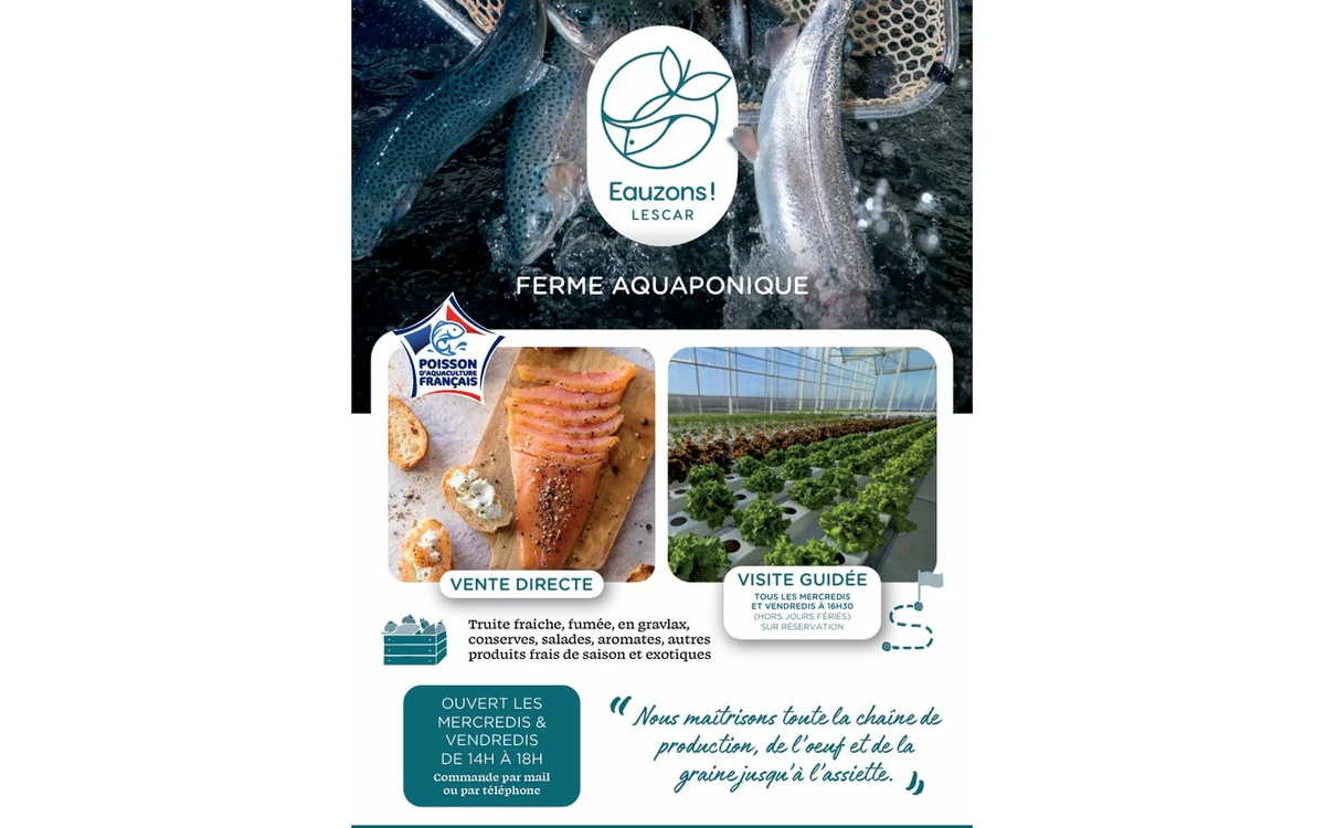 Aquaponic Farm Visit