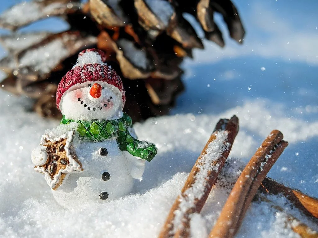 Espectáculo de Navidad « Stella y el bosque de los cuentos »