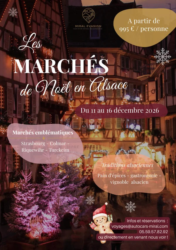 When Alsace Lights Up for Christmas