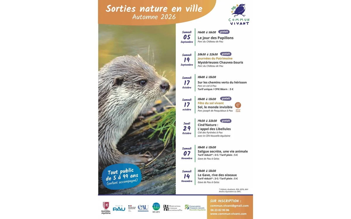 Sortie nature - Saligue secrète, une vie animale