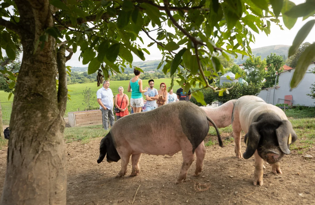 Here, our know-how - Agerria Farm Visit