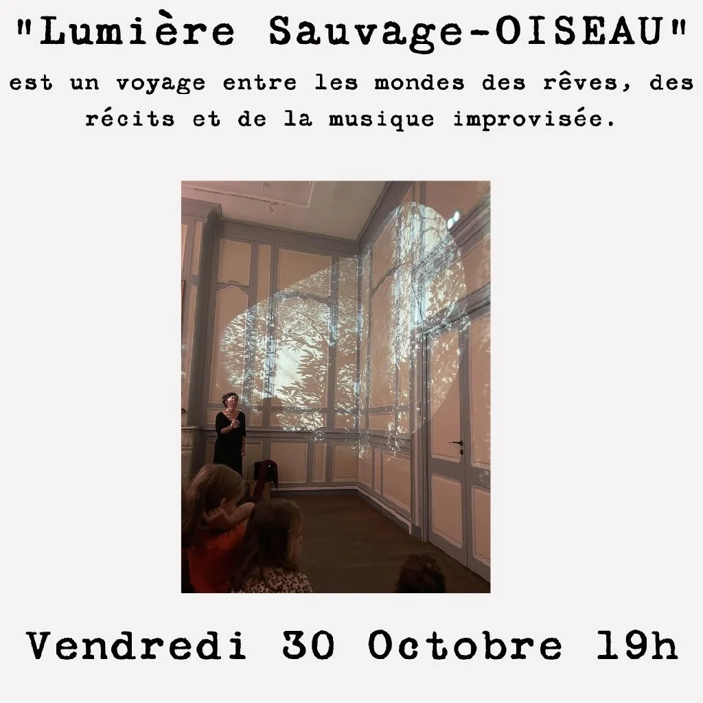End of residency: Lumière sauvage-oiseau