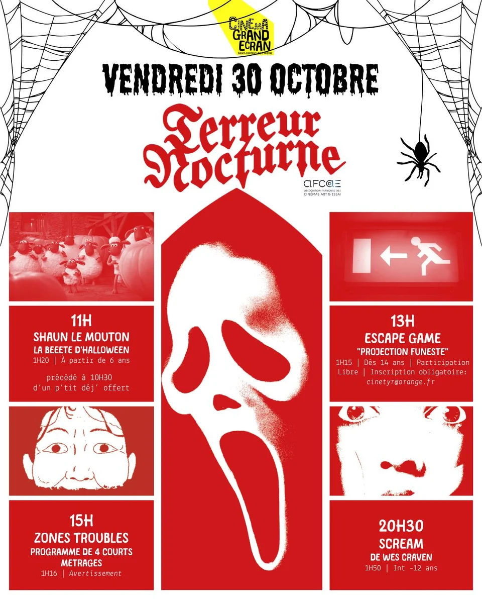 Escape Game : PROJECTION FUNESTE