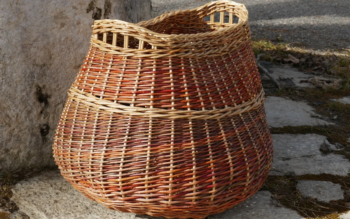 Stage de vannerie : la corbeille « organique »