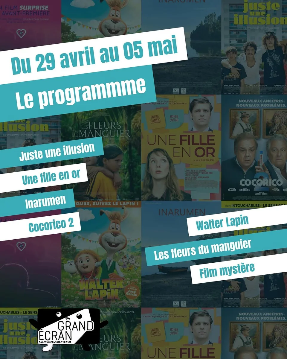 Avant-première « Film mystère » (coup de cœur surprise)