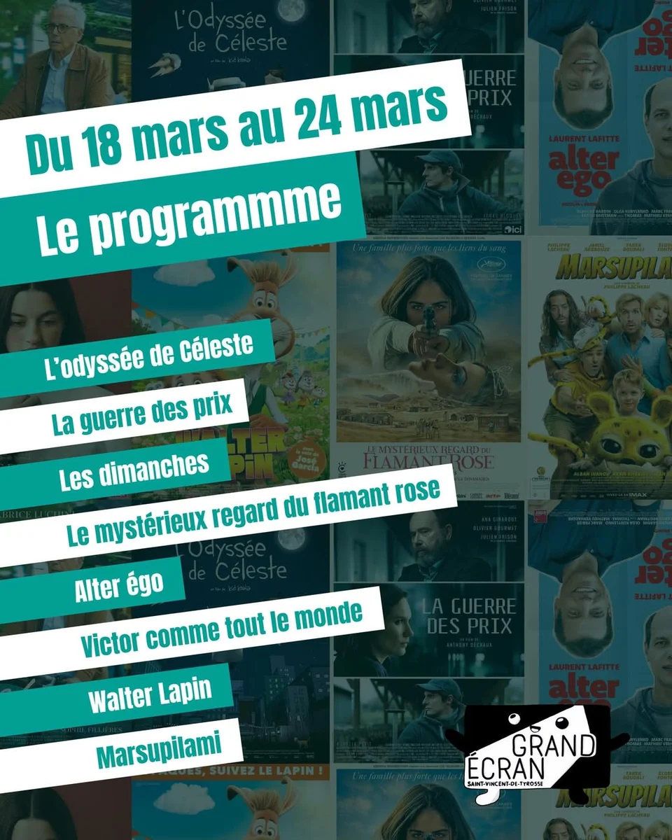 Ciné-rencontre : « Le mystérieux regard du flamant rose »