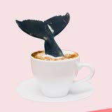 Café de la Baleine Biarritz