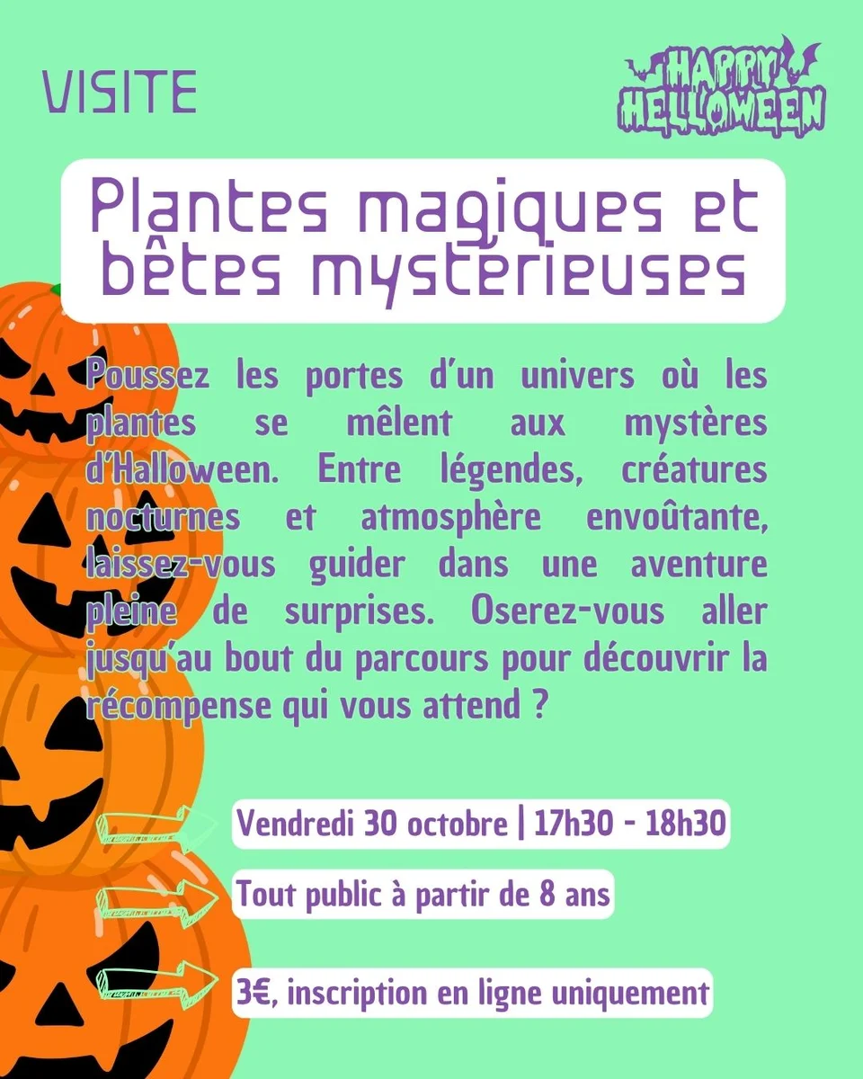 Magical Plants and Mysterious Beasts