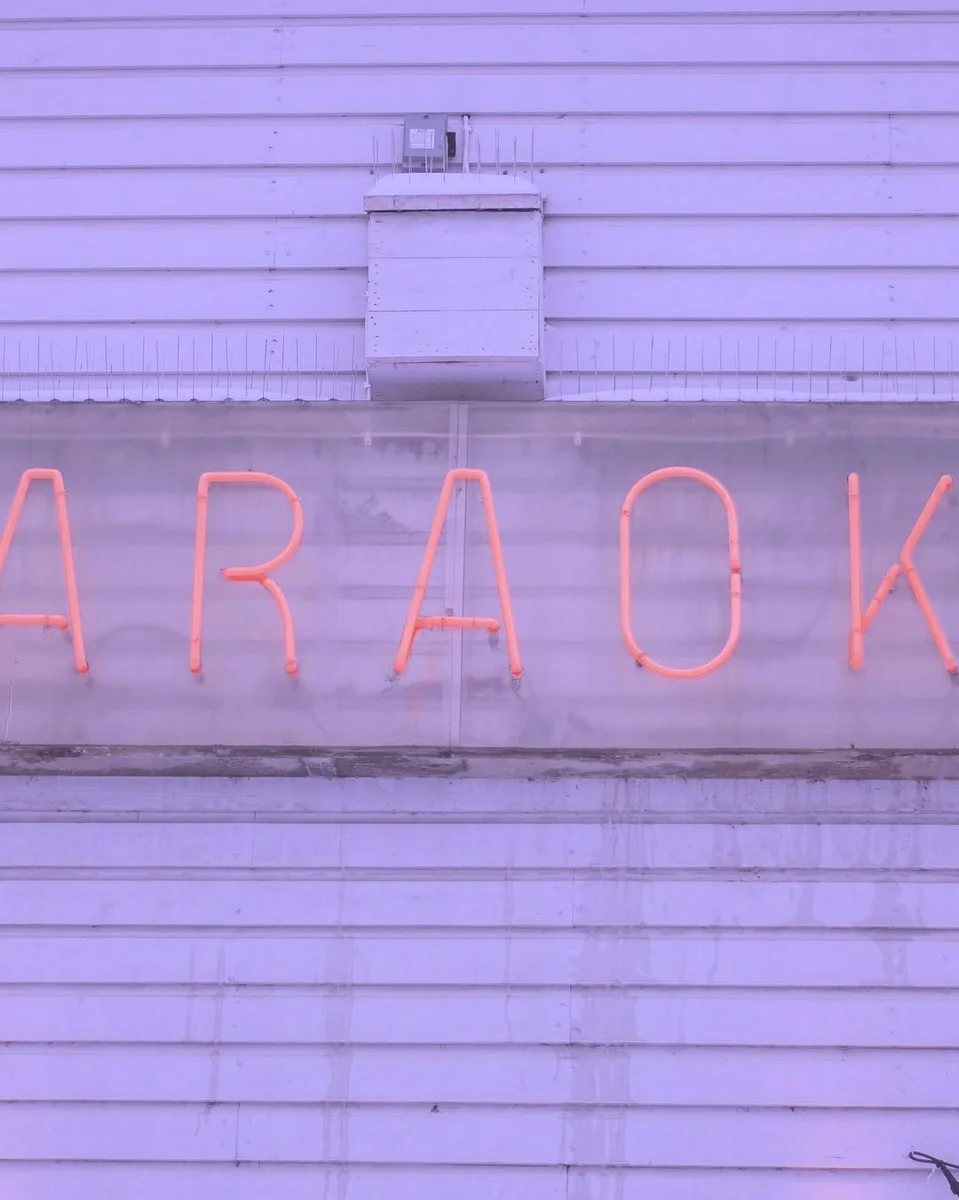Karaoke cool y festivo