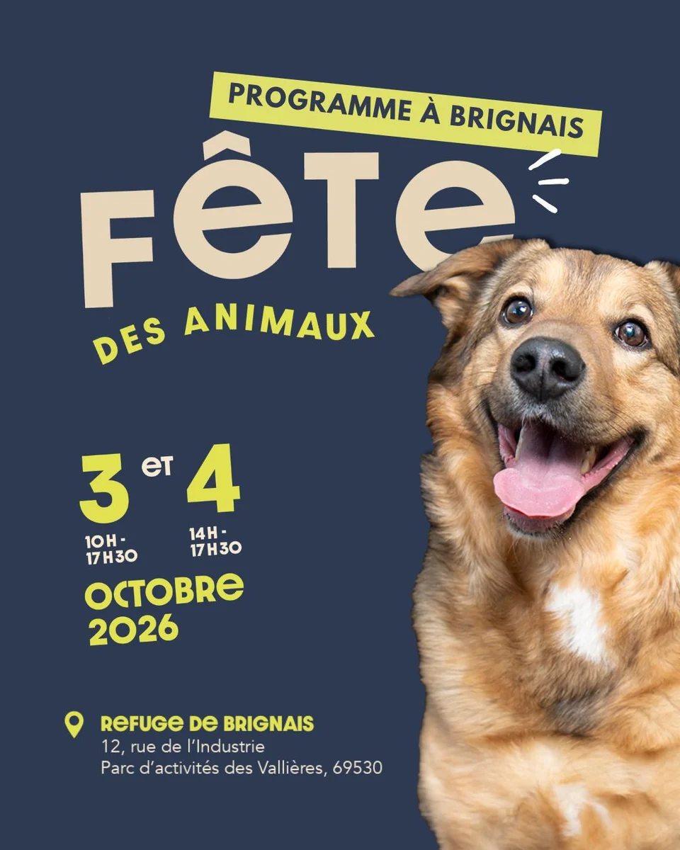Animal Festival on October 3rd and 4th, 2026
