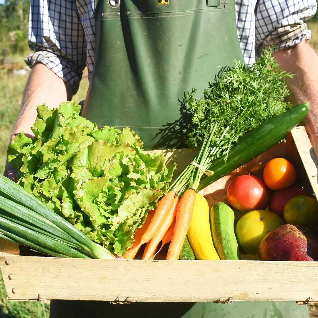 Visita a la huerta ecológica de Quentin d’Hoop