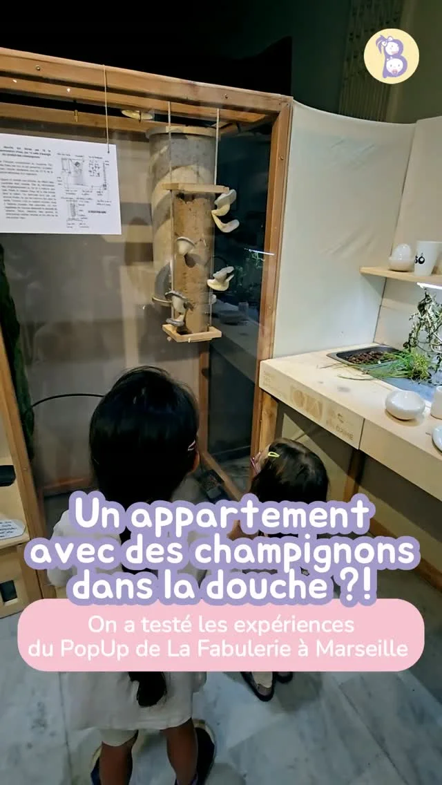 Exposition 'Un appartement avec des champignons dans la douche'