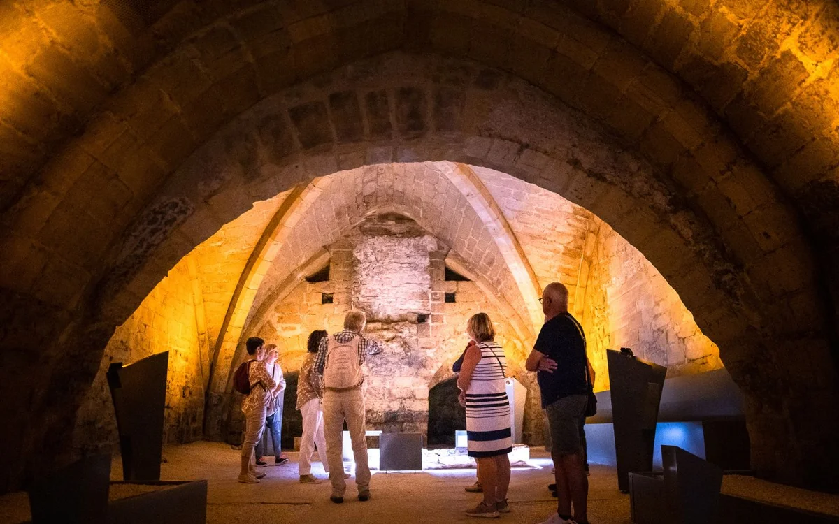 Guided tour: From one cellar to another