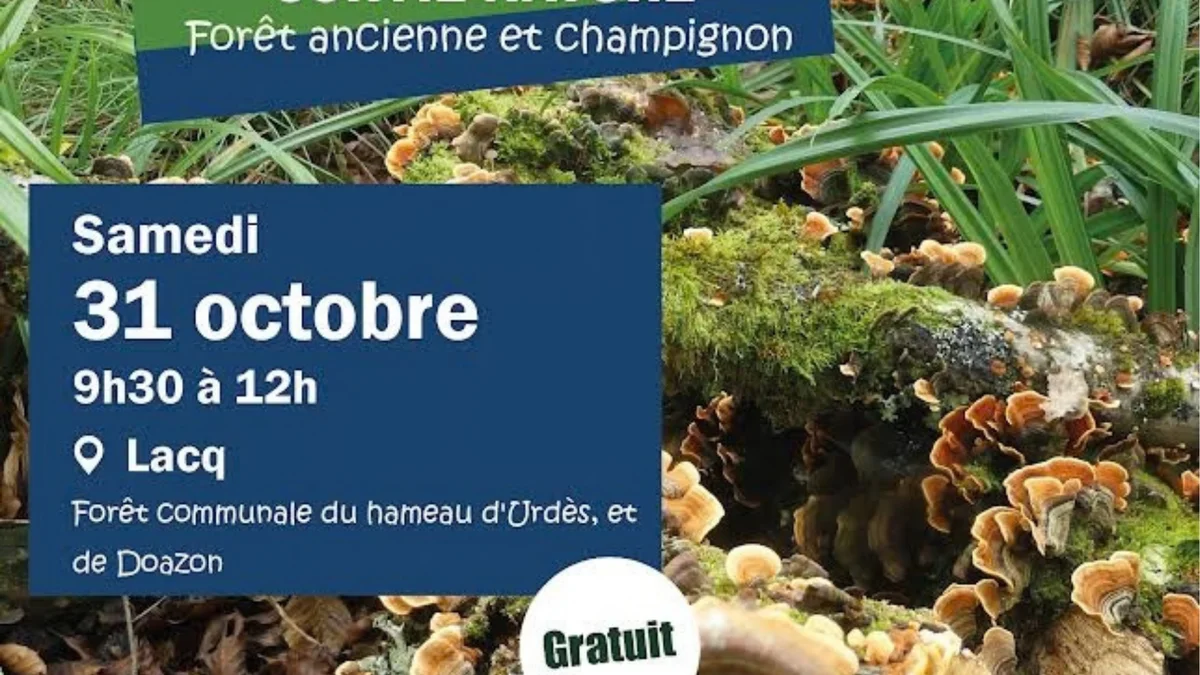 nature outing: Ancient Forest and Mushrooms