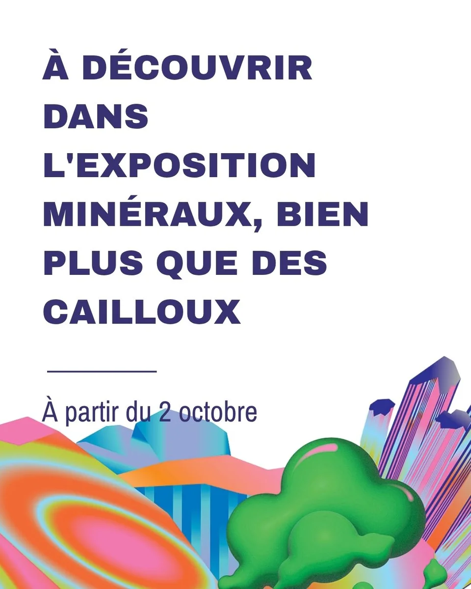 Minéraux, bien plus que des cailloux