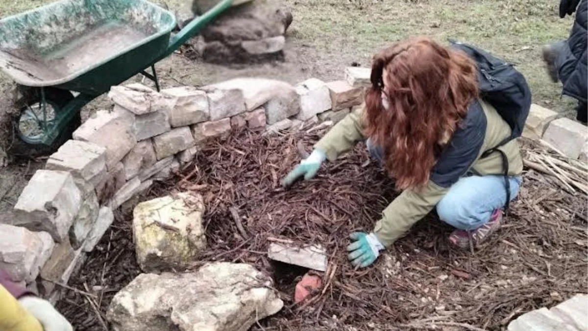 Taller: creación de un refugio para animales