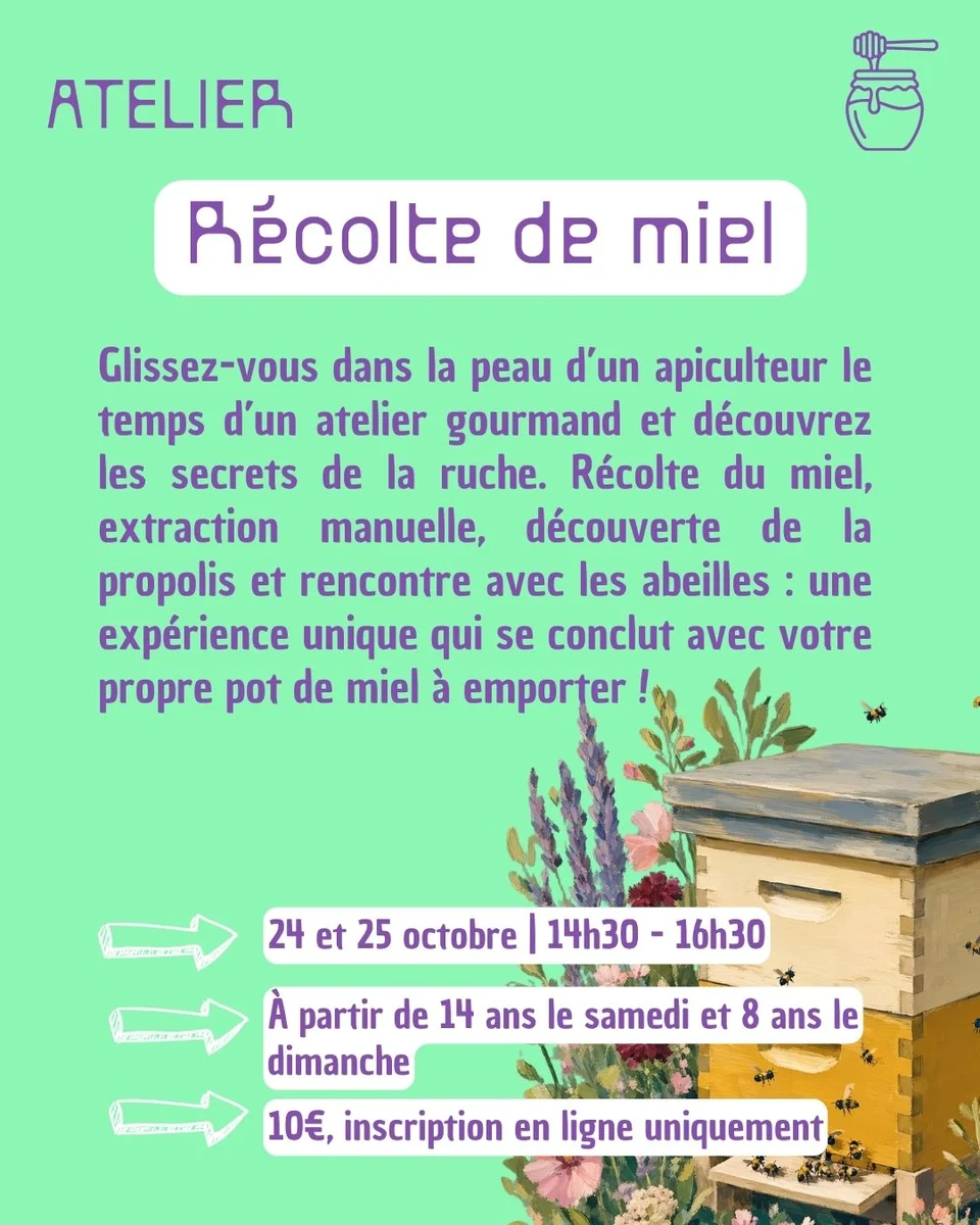 Atelier récolte de miel aux Jardins du Muséum à Borderouge