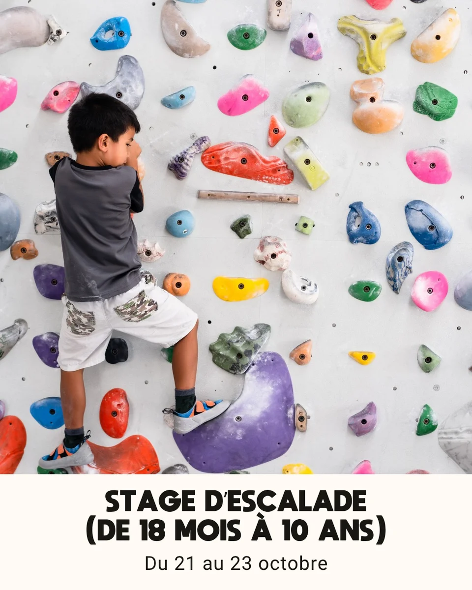 Stage d'escalade (18 mois - 10 ans)