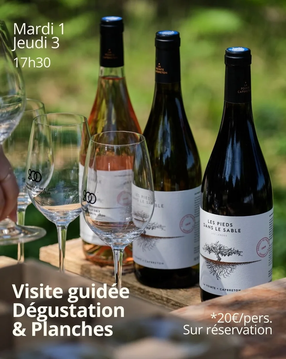 Visite guidée dégustation & planches à La Pointe