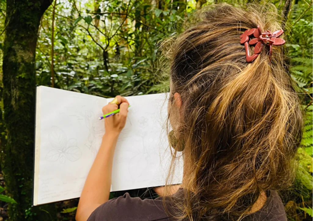 PARCC : atelier dessin, "À la découverte du pin landais", avec Charlotte Druguet, illustratrice scientifique