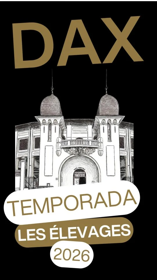 Feria de Dax 2026 – la ville en fête !